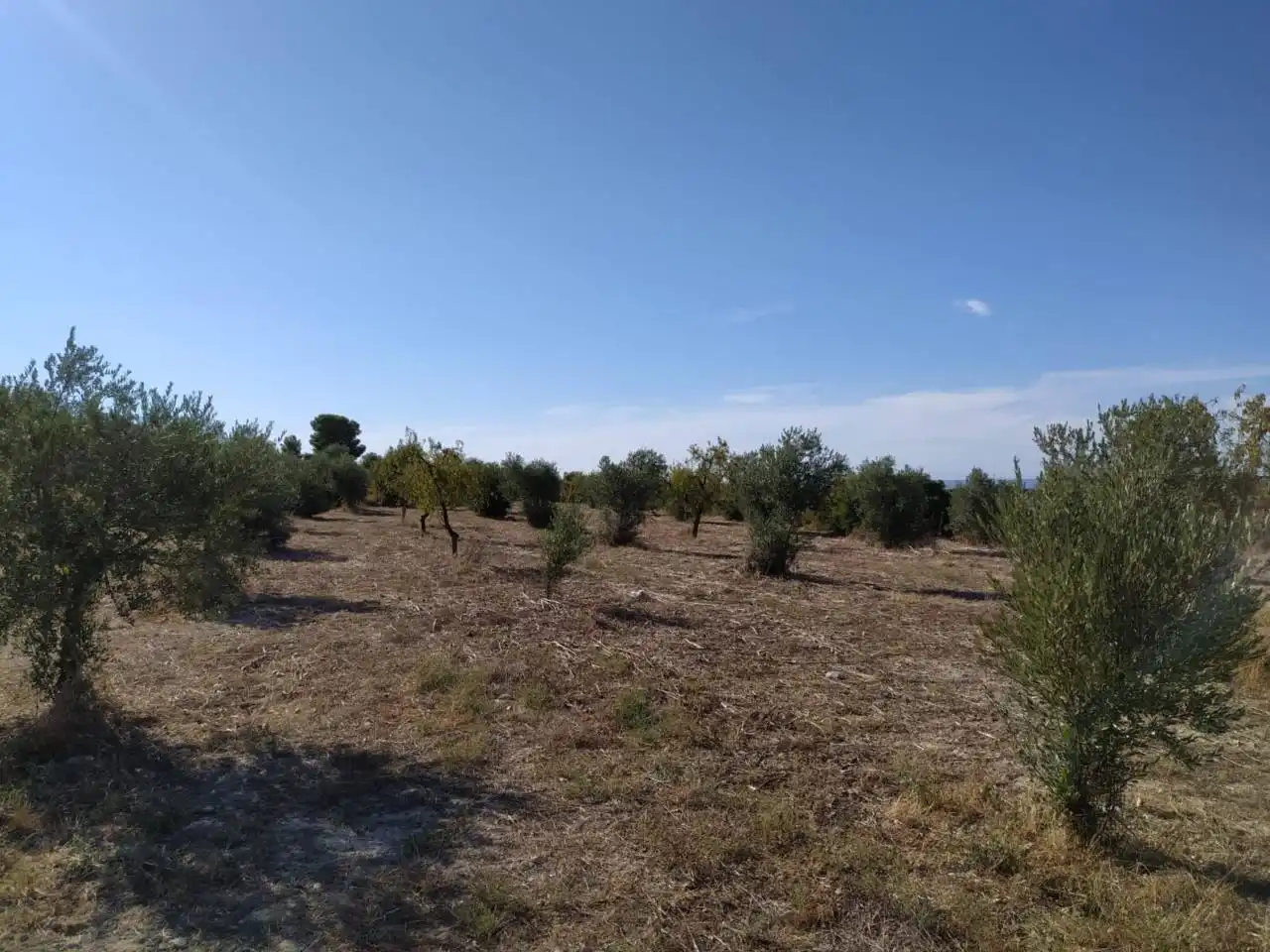 Terreno rústico en venta en Castelldans, imagen 9