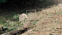 Residential for sale in Vidreres