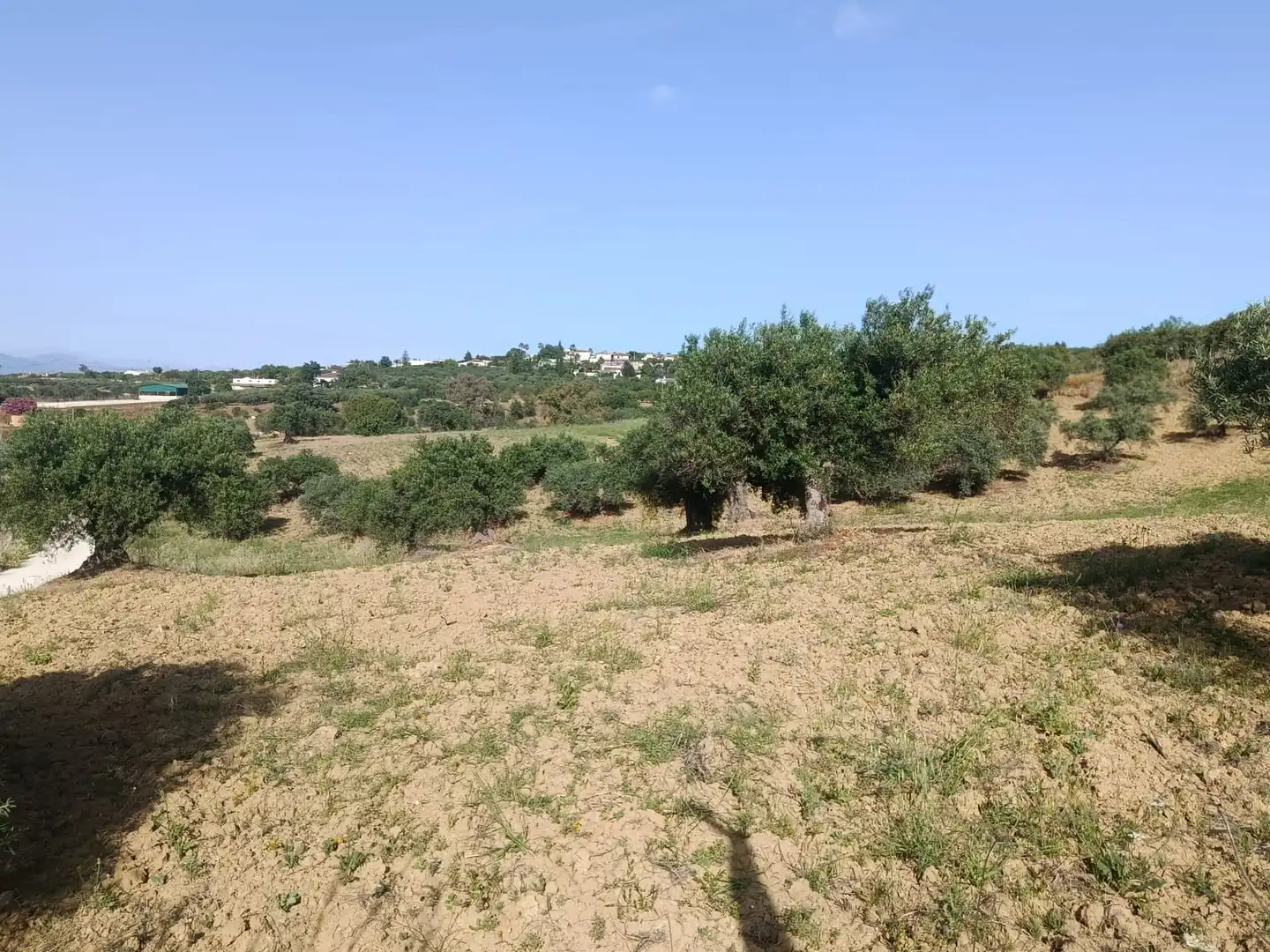 Terreni e lotti in vendita a Alquería - Torrealquería, imagen 3