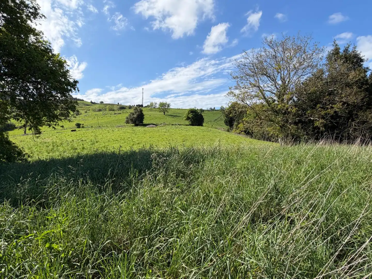 Wohnbaugrundstück zum Verkauf in Villanueva - Villanueva de Villaescusa, imagen 6
