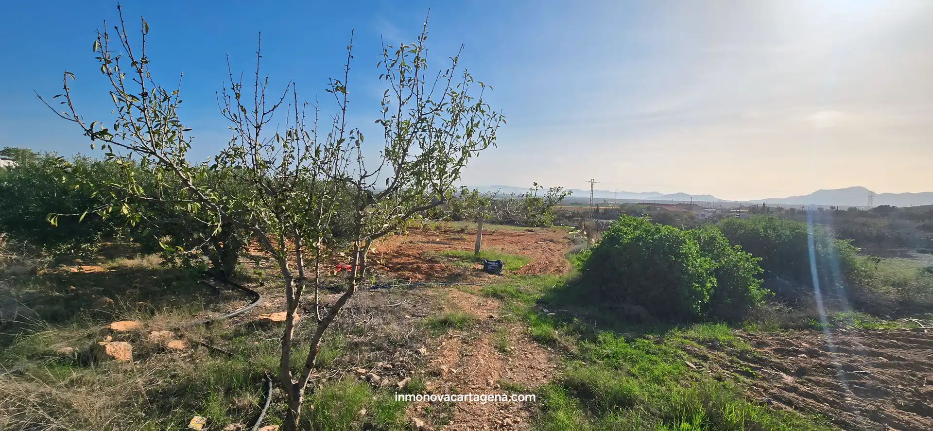 Finca rústica en venda en Cartagena amb Jardí privat