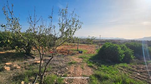 Foto 3 de Finca rústica en venda a La Magdalena - Molinos Marfagones, Murcia