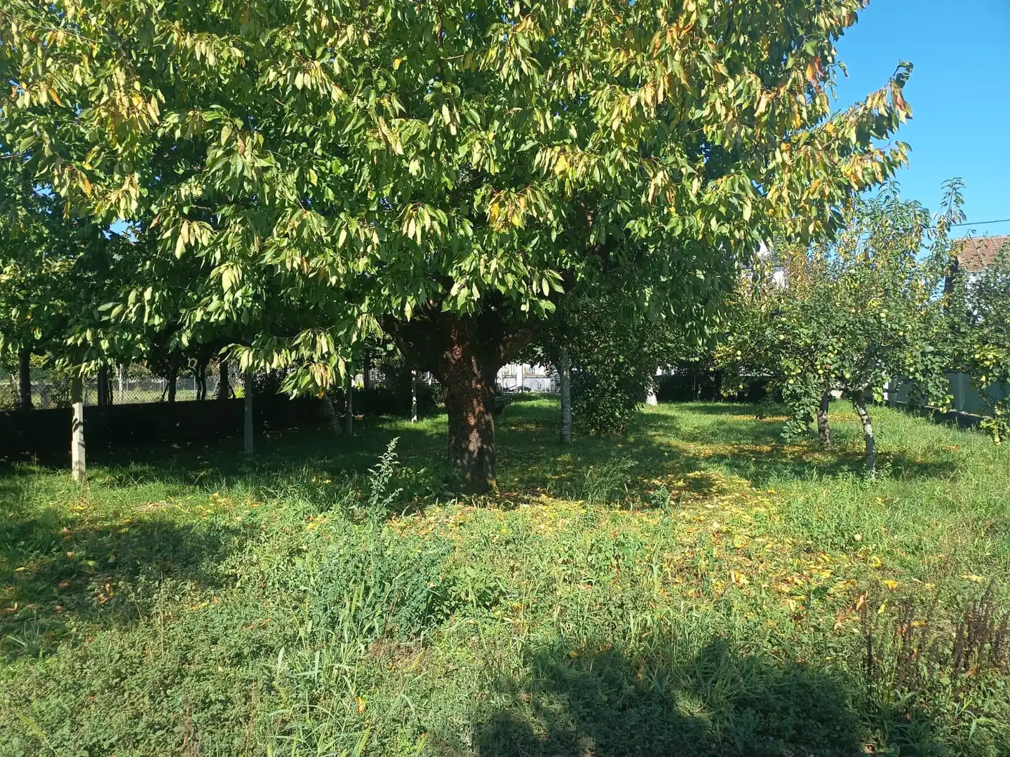 Residential land for sale in Monforte de Lemos, imagen 5