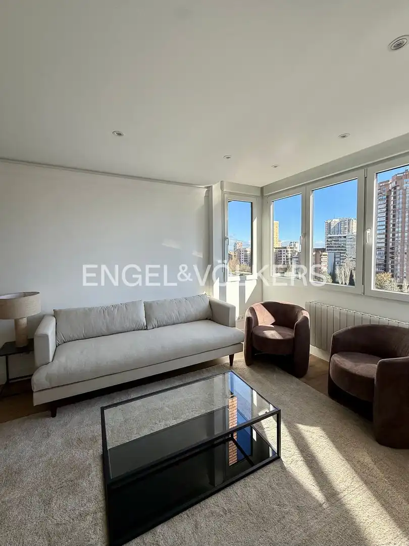 Living room of Flat for rent in Madrid  with Air Conditioner, Heating and Private garden