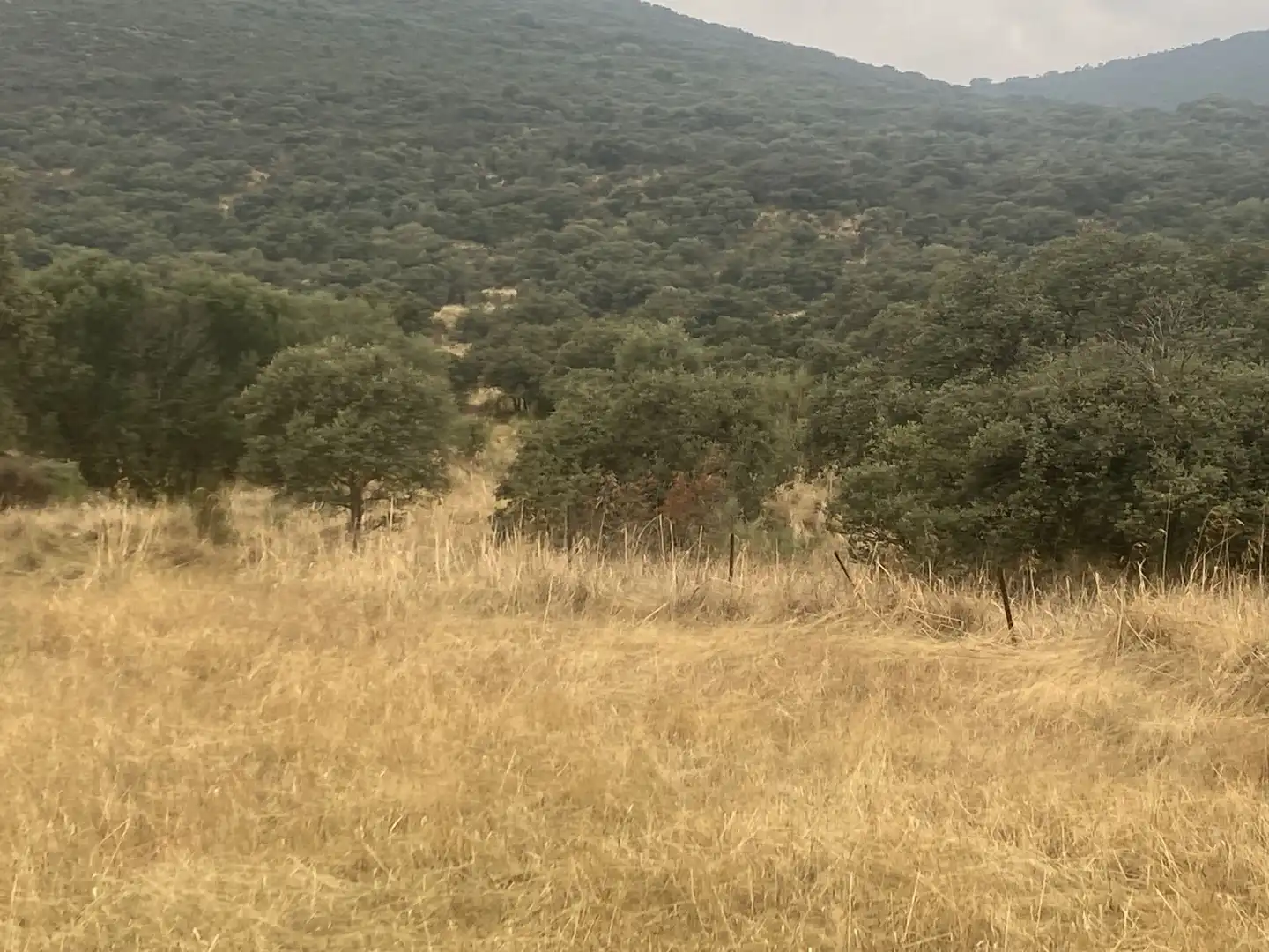 Terreni e lotti in vendita a La Estrella, imagen 31