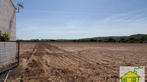 Foto 2 de Finca rústica en venta en Andújar, Jaén
