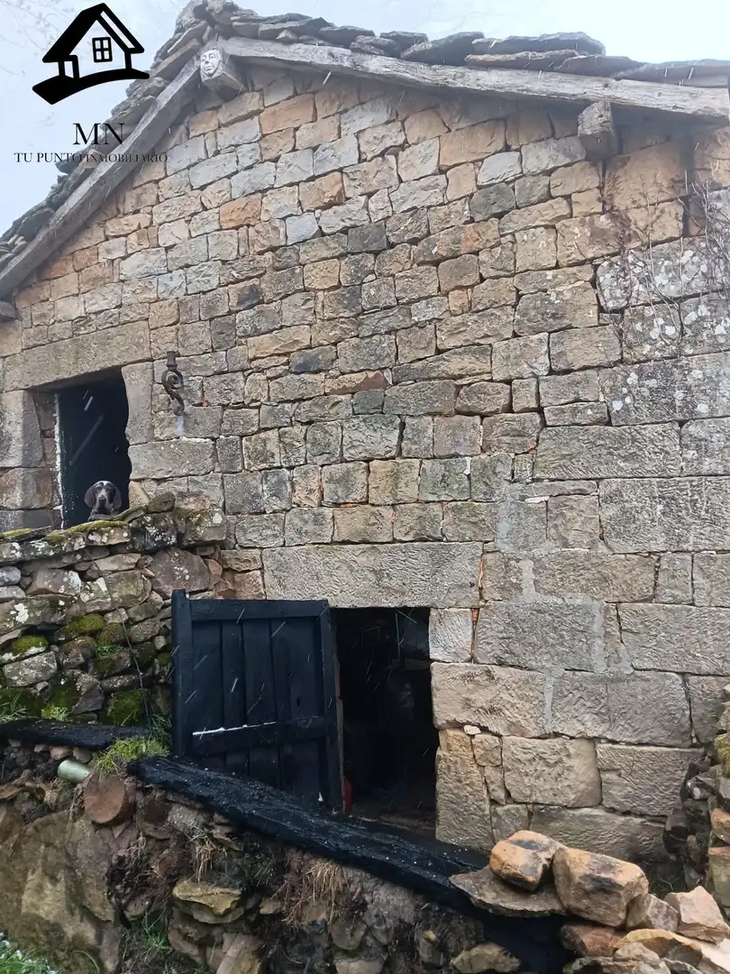Vista exterior de Finca rústica en venta en Luena 