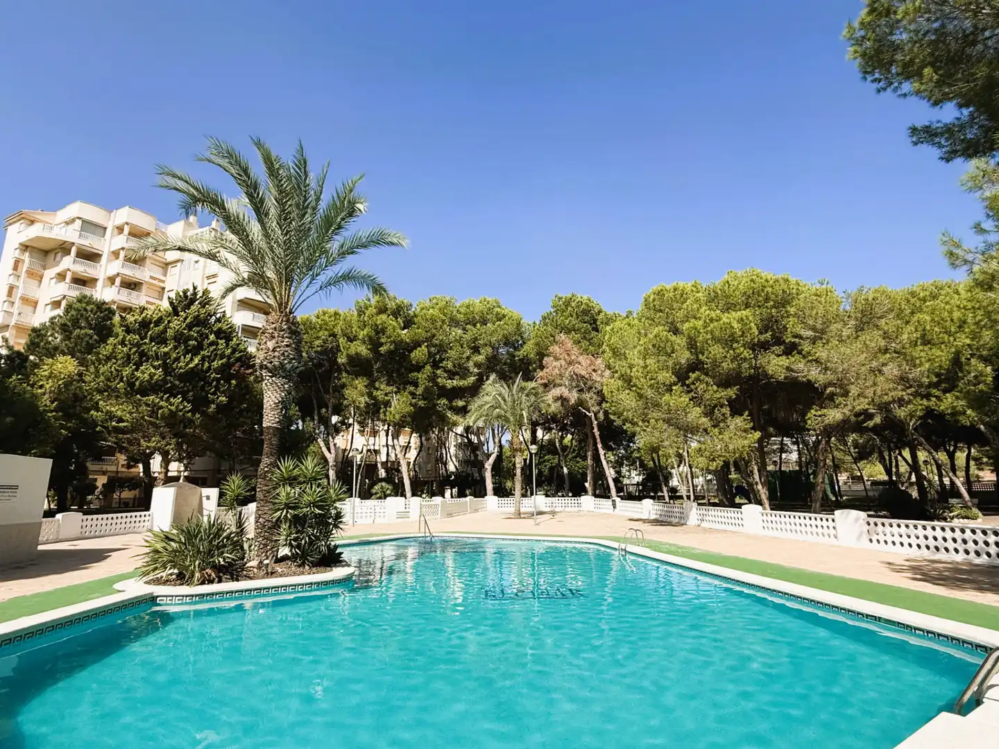 Piscina de Pis en venda en Orihuela amb Moblat i Piscina comunitària