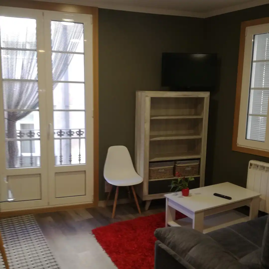 Sala d'estar de Estudi de lloguer en Ourense Capital  amb Calefacció, Moblat i Forn