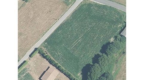 Oportunidad Única Finca Urbana de 2730 m2 en el Corazón de Rois.