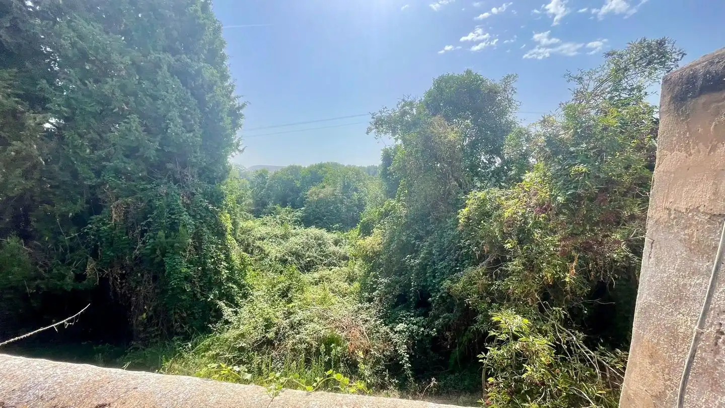 Haus mit Garten zum Verkauf in La Parra, imagen 44