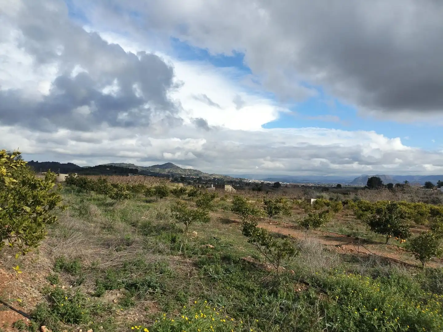 Land for sale in Rotglà i Corbera