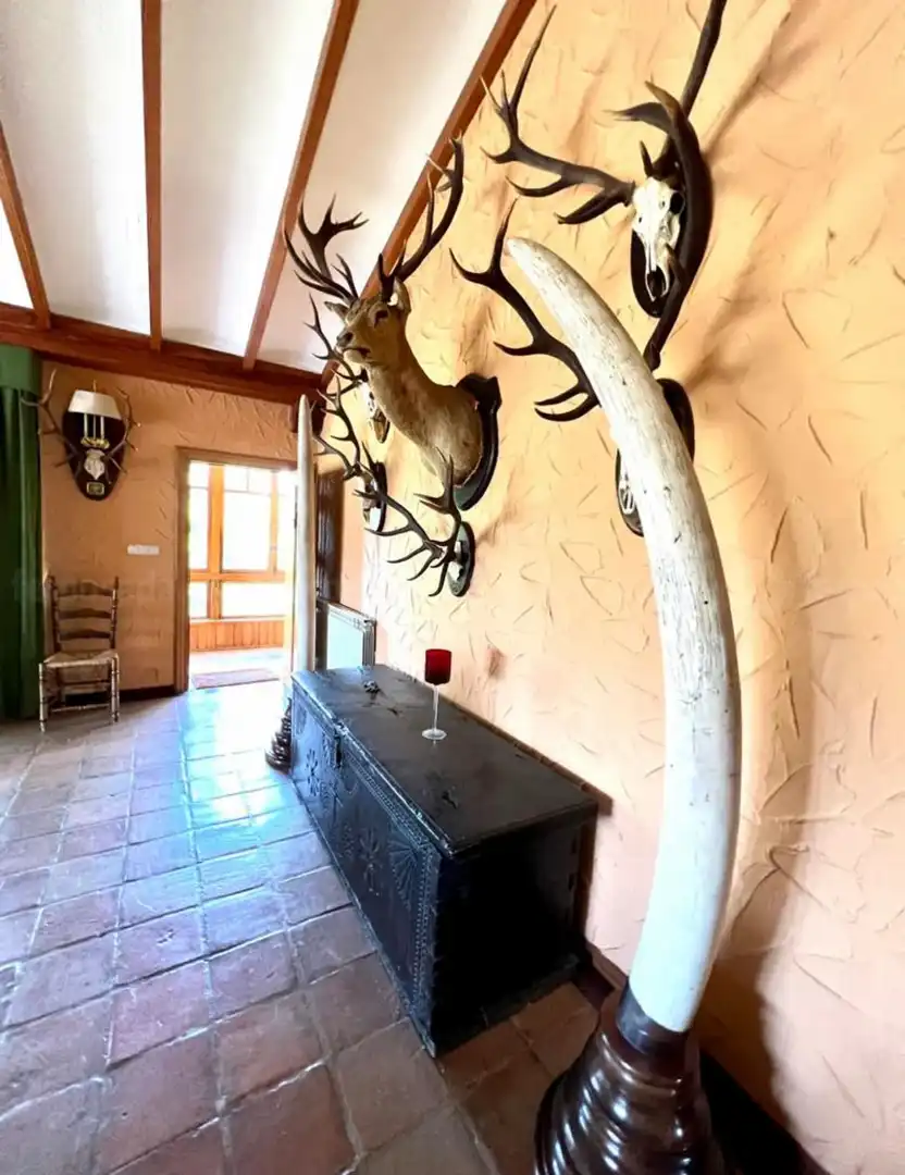 Casa o chalet en venta en Piloña con Calefacción y Jardín privado