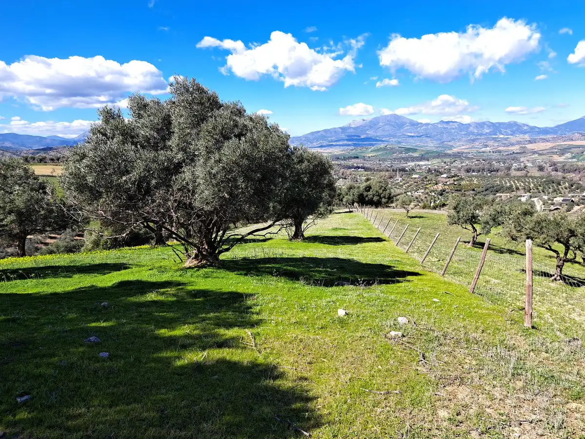 Terreni e lotti in vendita a Coín, imagen 21
