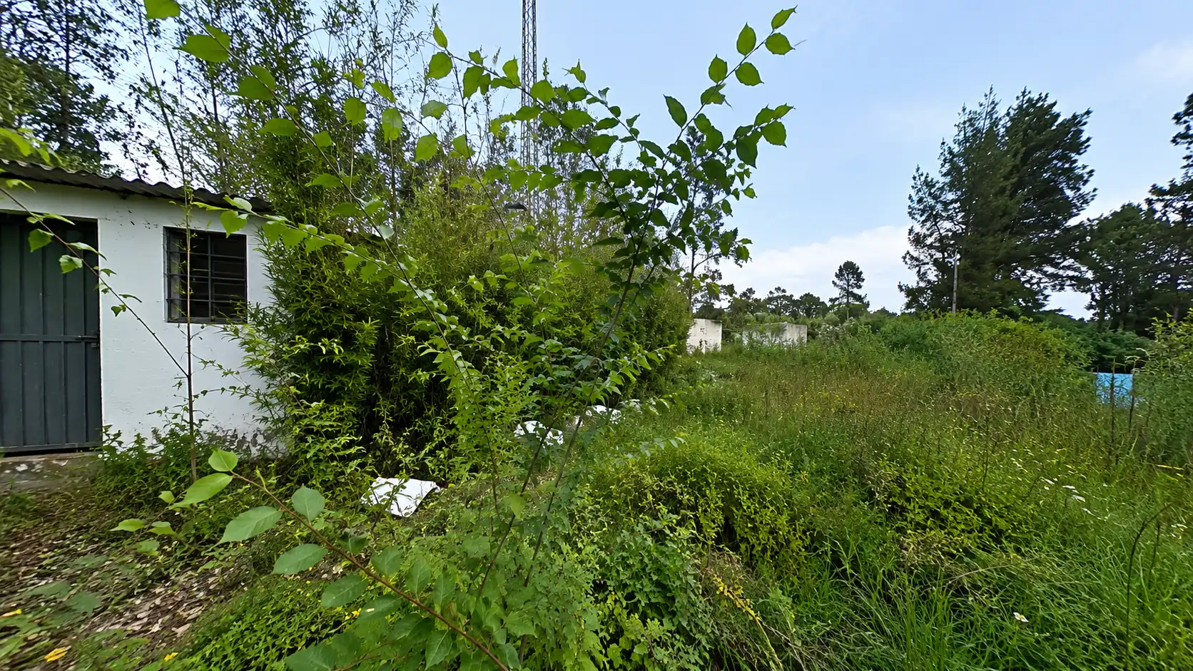 Haus mit Garten zum Verkauf in Proc. Simplificado, imagen 11