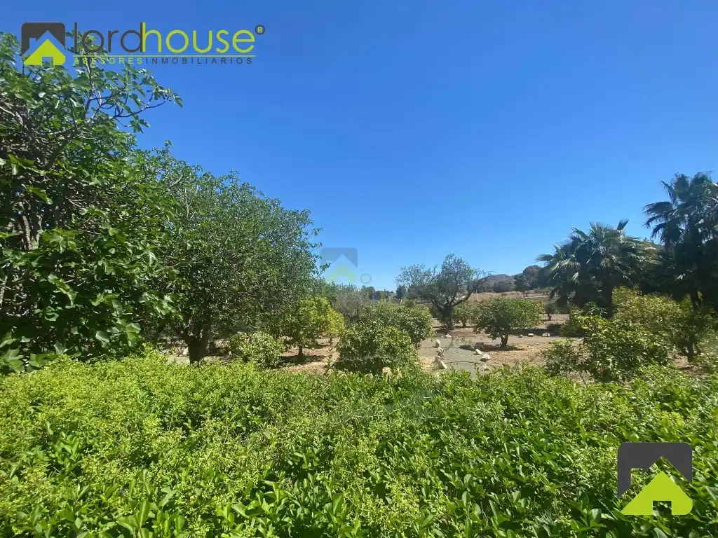 Houses for sale in Lorca