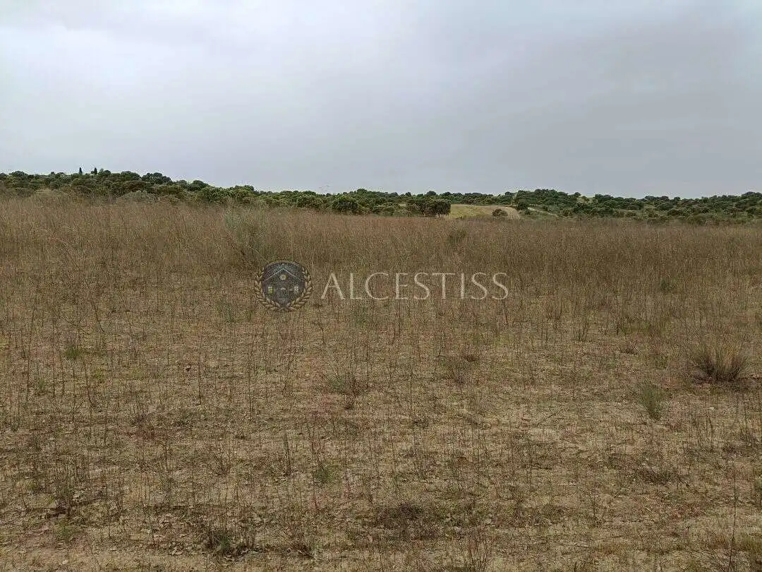 Terreno rústico en venta en Aldea del Fresno, imagen 4