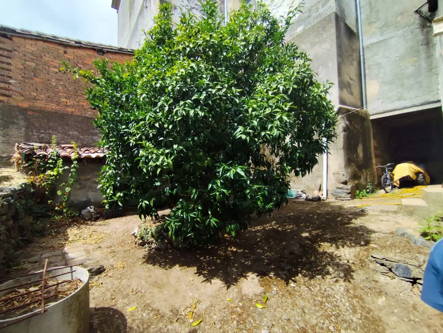 Casa o chalet en venta en Casar de Palomero con Jardín privado y Terraza