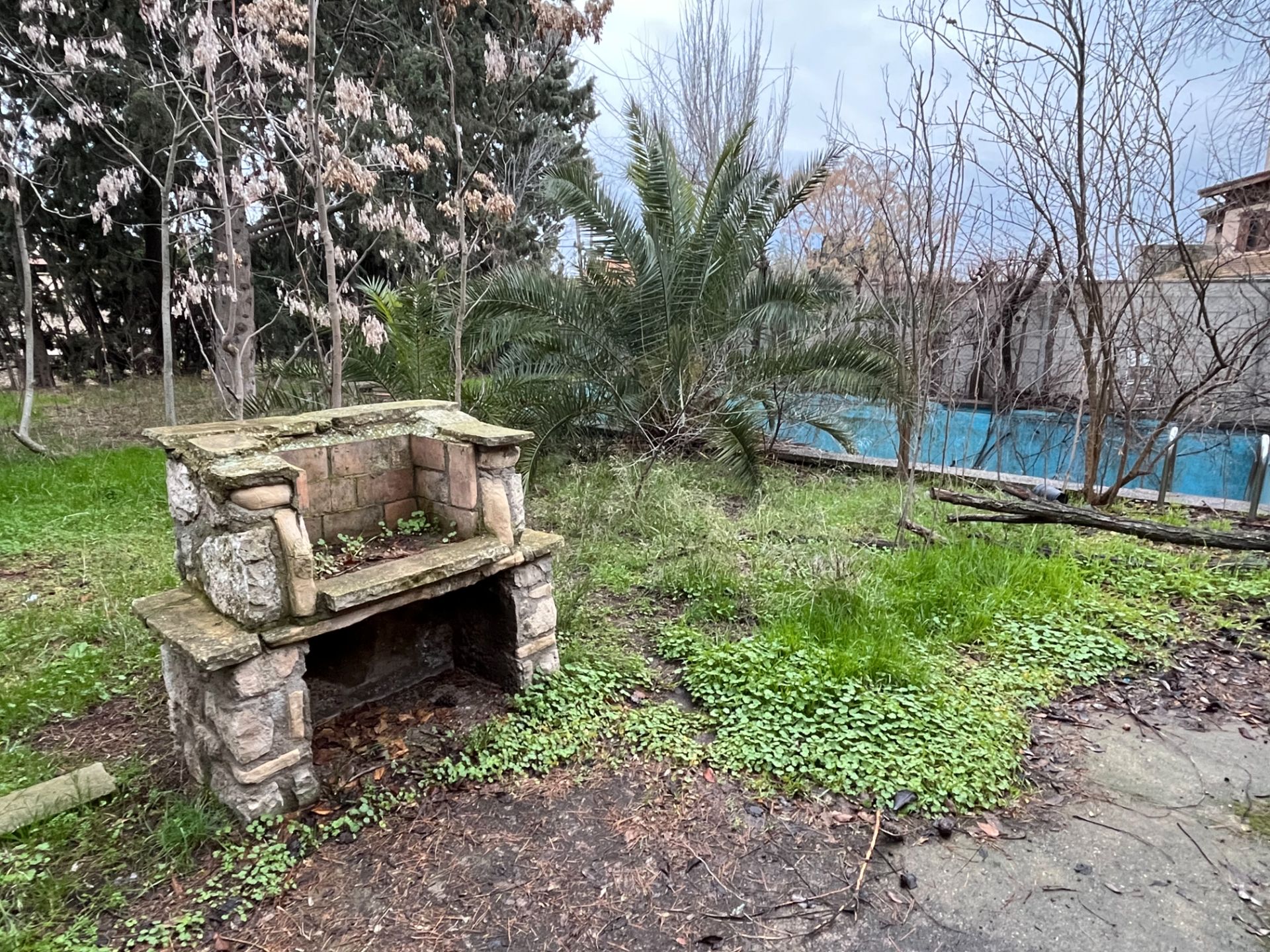 Jardí de Casa o xalet en venda en Alfajarín amb Jardí privat, Terrassa i Piscina