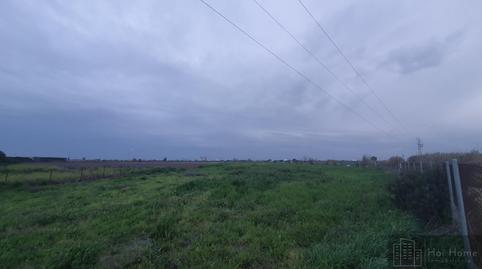 Photo 3 of Country house for sale in Caballero Bonald - San José Obrero - Guadalcacín, Cádiz