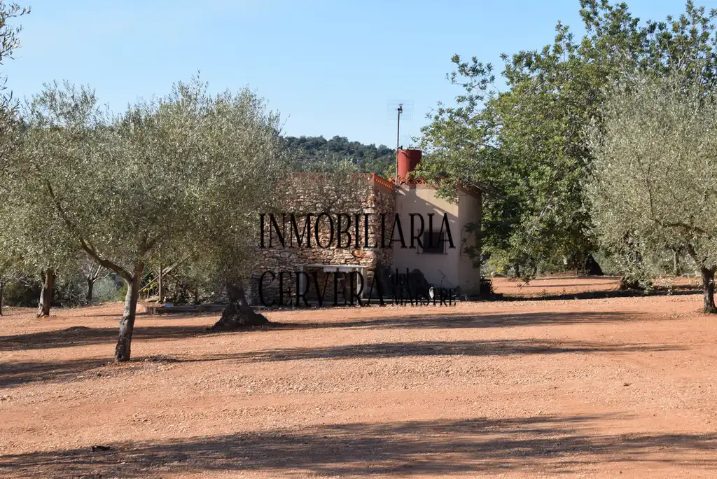 Vista exterior de Finca rústica en venda en Cervera del Maestre amb Terrassa