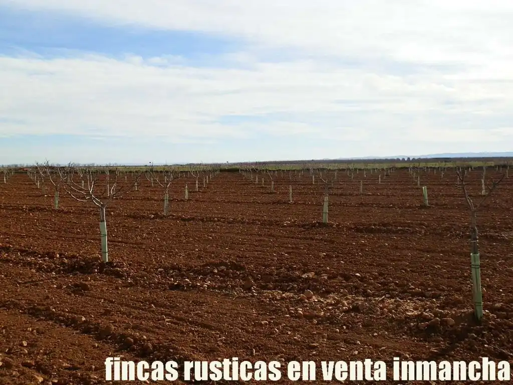 Terreno en venta en Albacete