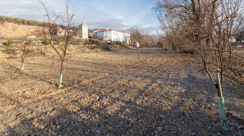 Venta de cortijo en Píñar Granada, imagen 2