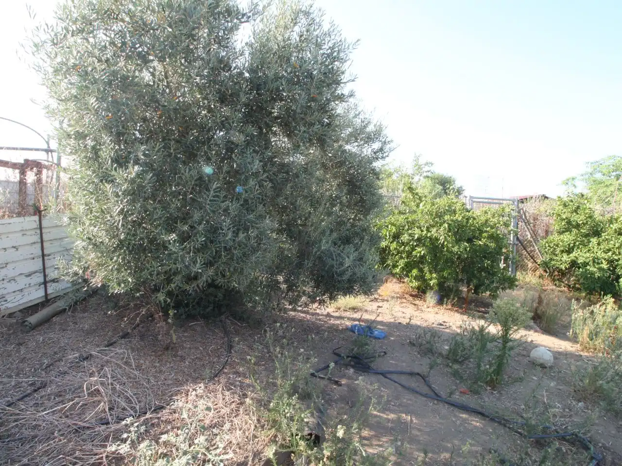 Terreno rustico in vendita a Calle Poniente 13, imagen 13
