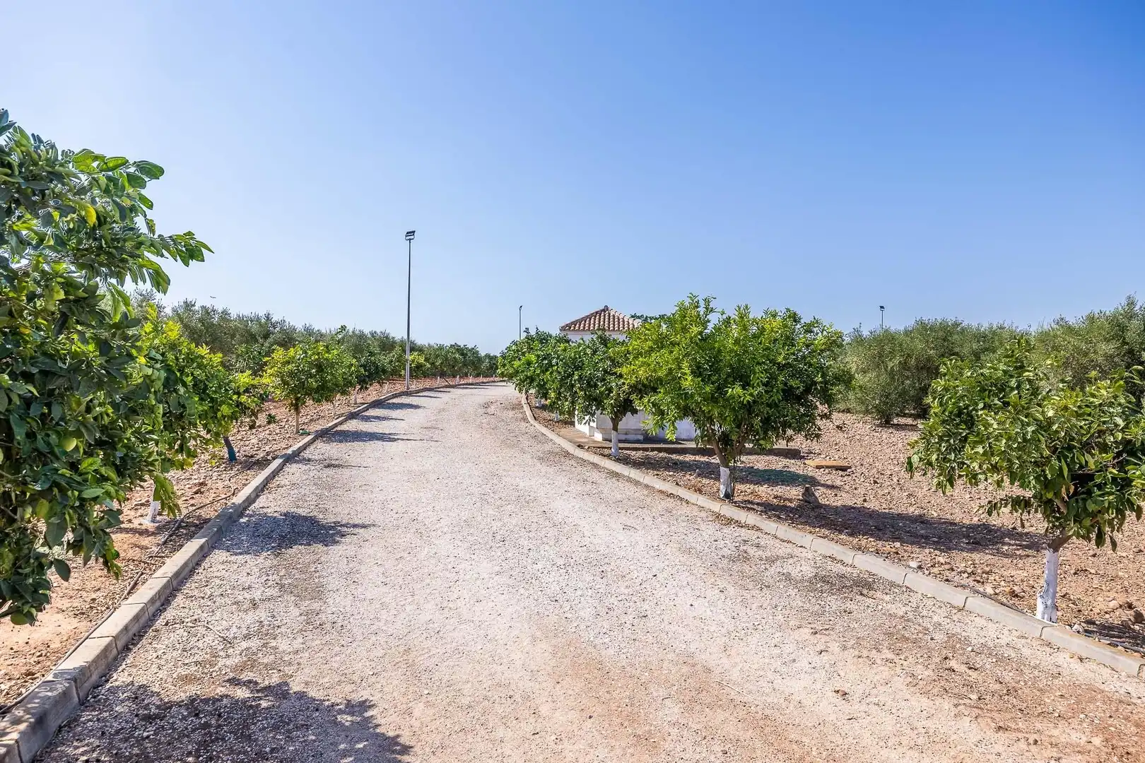 Finca rústica en venta en Carmona con Calefacción, Jardín privado y Terraza