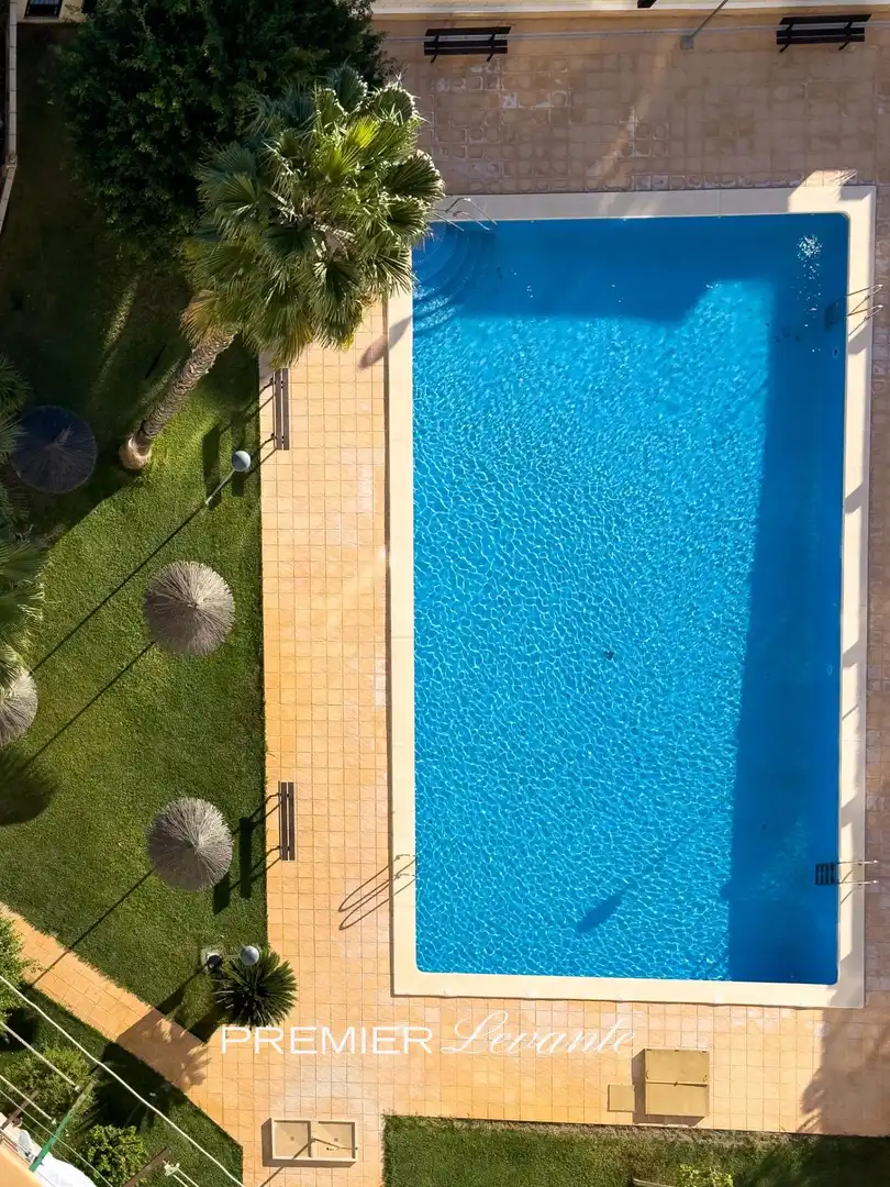 Studio with pool to rent in Calle Musico Vicente Spiteri 19, imagen 5