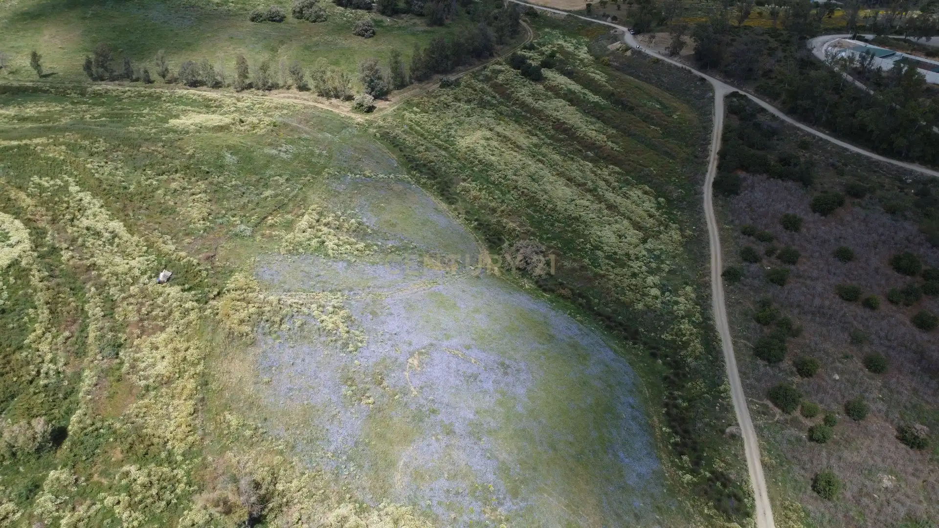 Terreni e lotti in vendita a Carretera Pista Confederación, Pizarra, Spain, imagen 22