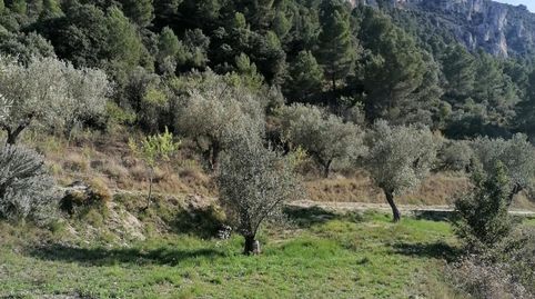Foto 3 von Grundstücke zum Verkauf in Partida Foeta de Carrascal, Quatretondeta, Alicante