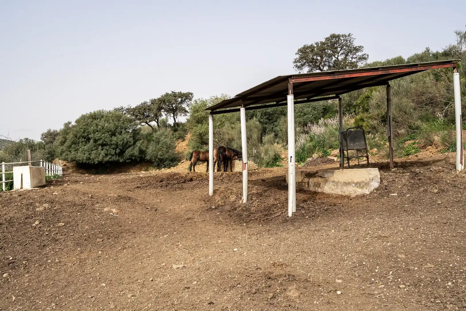 Vista exterior de Finca rústica en venta en Villanueva de la Concepción con Terraza, Piscina y Amueblado