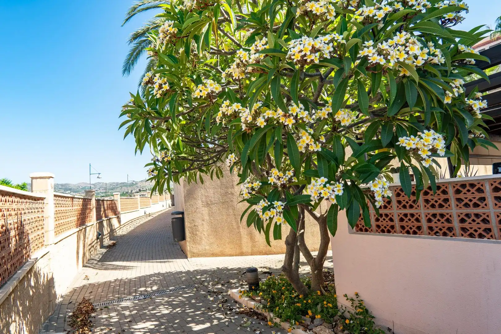 Àtic de lloguer a Urbanizacion CANTERAS LAS, Almayate