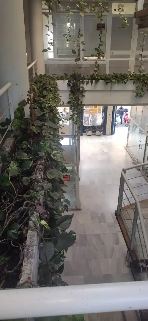 Büro mit Aufzug zur Miete in Centro, imagen 5
