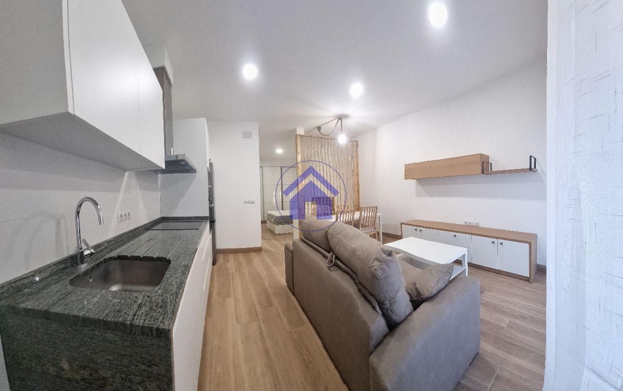 Sala d'estar de Estudi de lloguer en Pontevedra Capital  amb Calefacció, Terrassa i Moblat