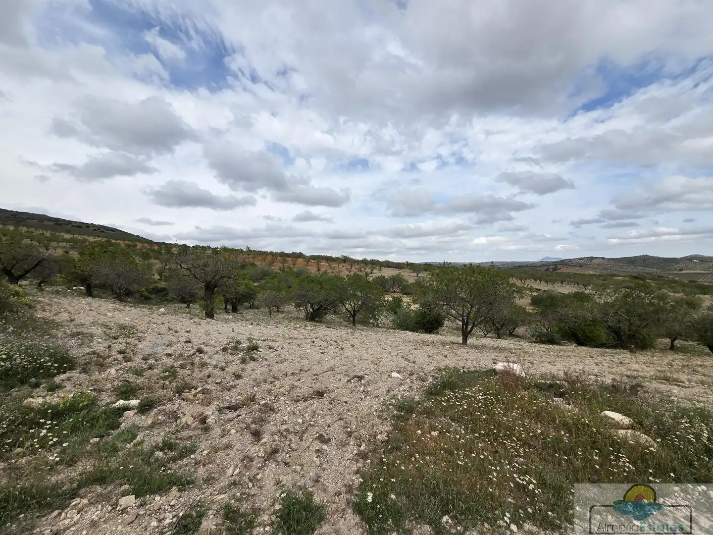 Terrenys i solars en venda a Albox, imagen 14