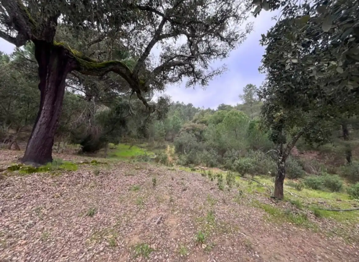 Terreno rustico in vendita a Camino de Valdelarco, imagen 4