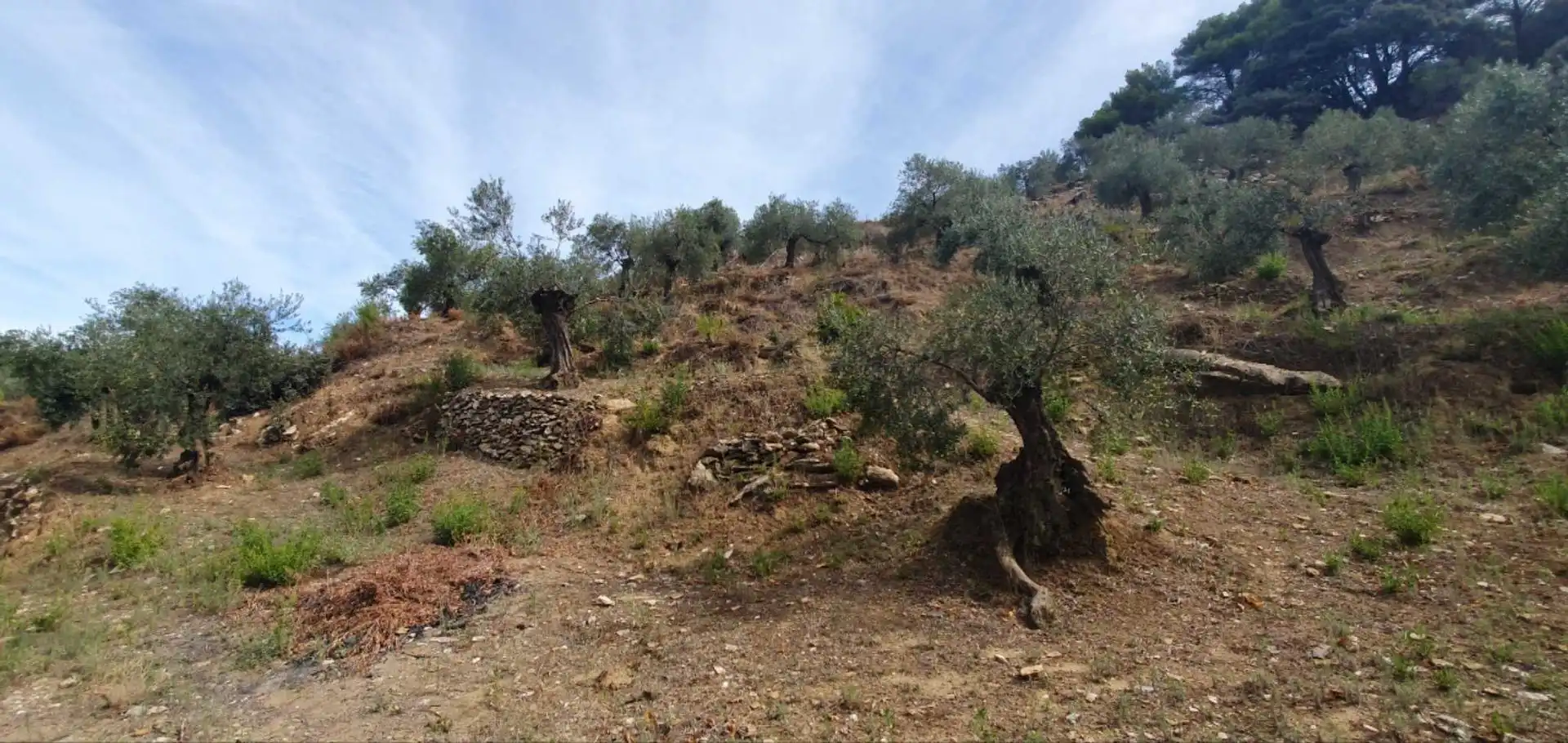 Terrenos y solares en venta en Yunquera, imagen 4