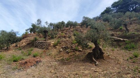 Foto 4 de Residencial en venta en Yunquera, Málaga