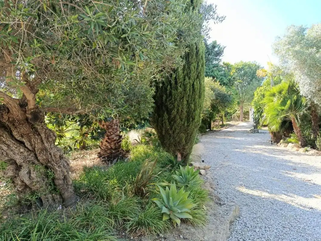 Maison rustique à vendre à Lugar El Mezquiton, imagen 13
