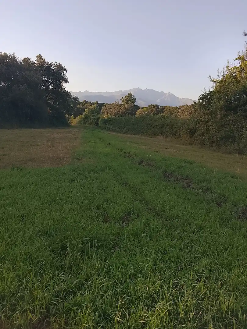 Terreni e lotti in vendita a Madrigal de la Vera, imagen 17