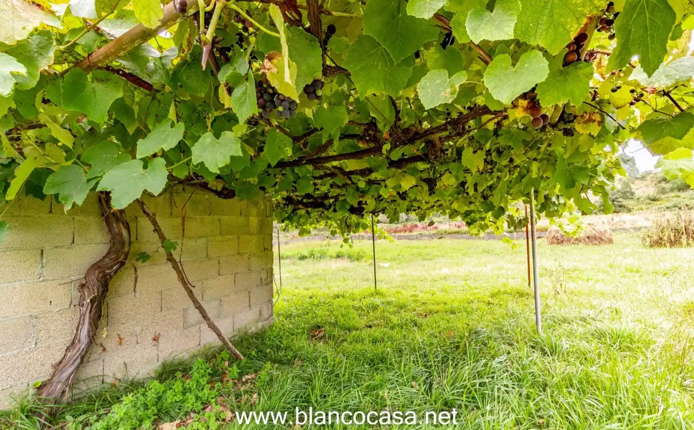 Jardí de Residencial en venda en Arteixo