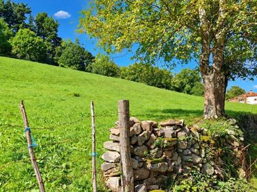 Terreno rustico in vendita a Luena