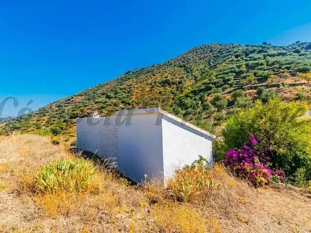Apartament en venda a Arenas