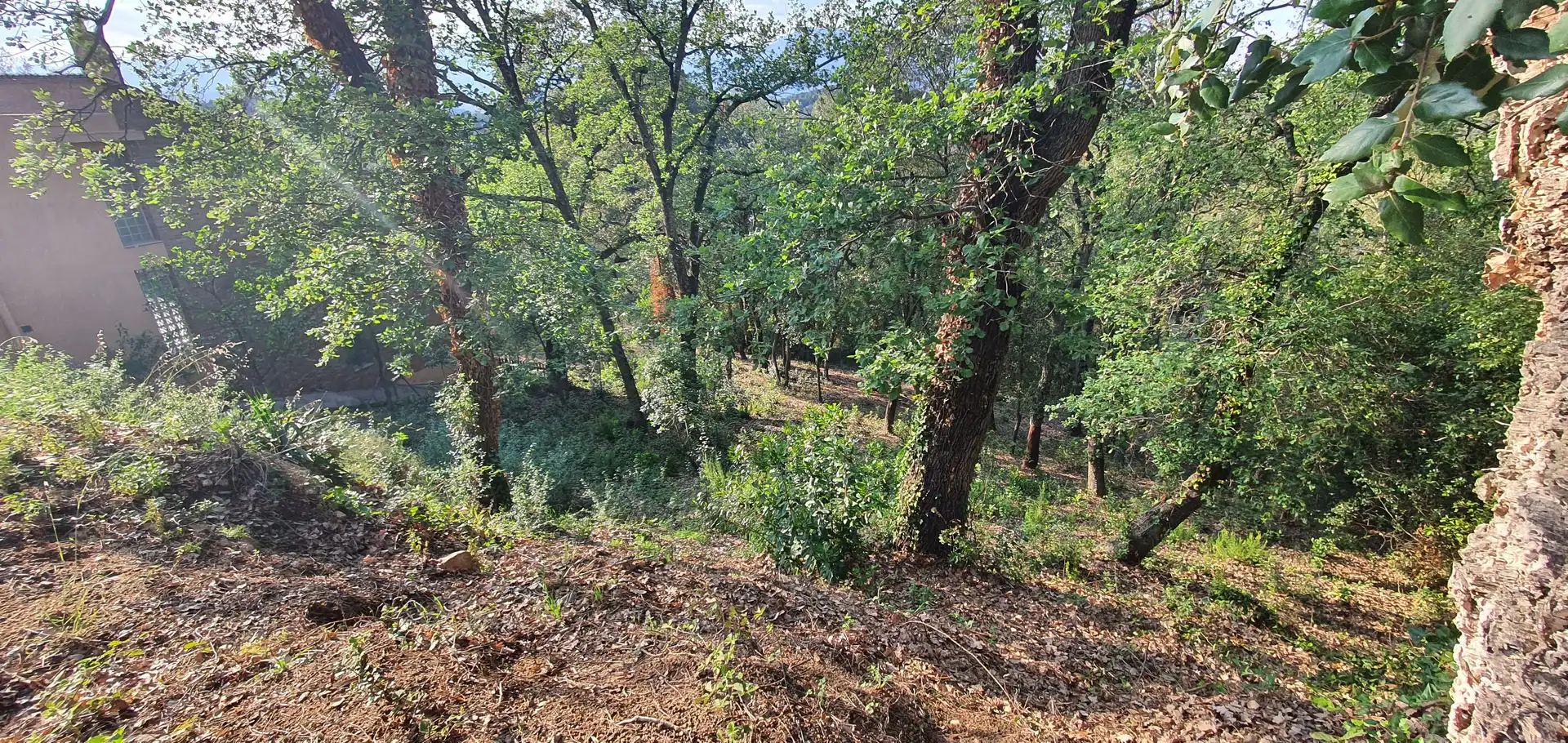 Terreno residencial en venta en Lloc Can Puigdemir 24D, imagen 2