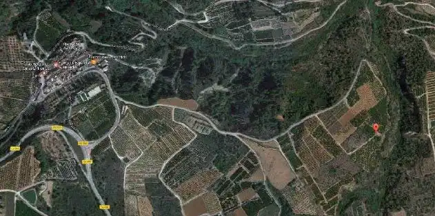 Terreny rústic en venda a C/ Partida del Llano, imagen 4