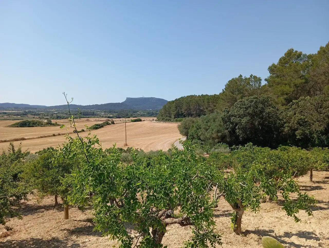Casa o chalet en venta en Lloret de Vistalegre