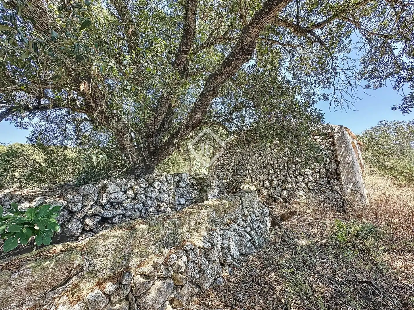 Maison rustique avec jardin à vendre à Alaior poble, imagen 49