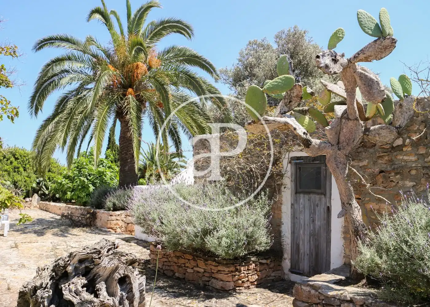 Jardín de Casa o chalet en venta en Formentera con Aire acondicionado, Calefacción y Jardín privado